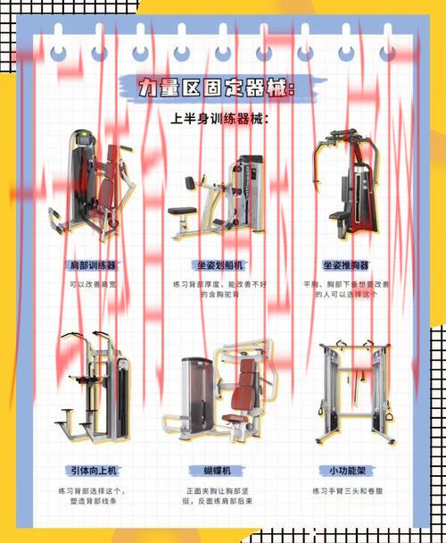 云体育app，提供详细体育装备选购指南