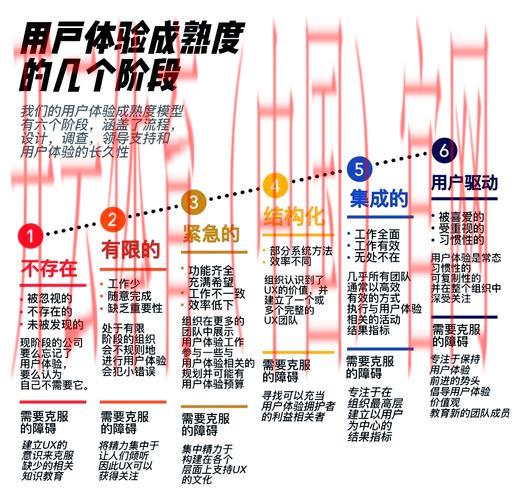 开云体育app评价，关于用户体验的深度解析